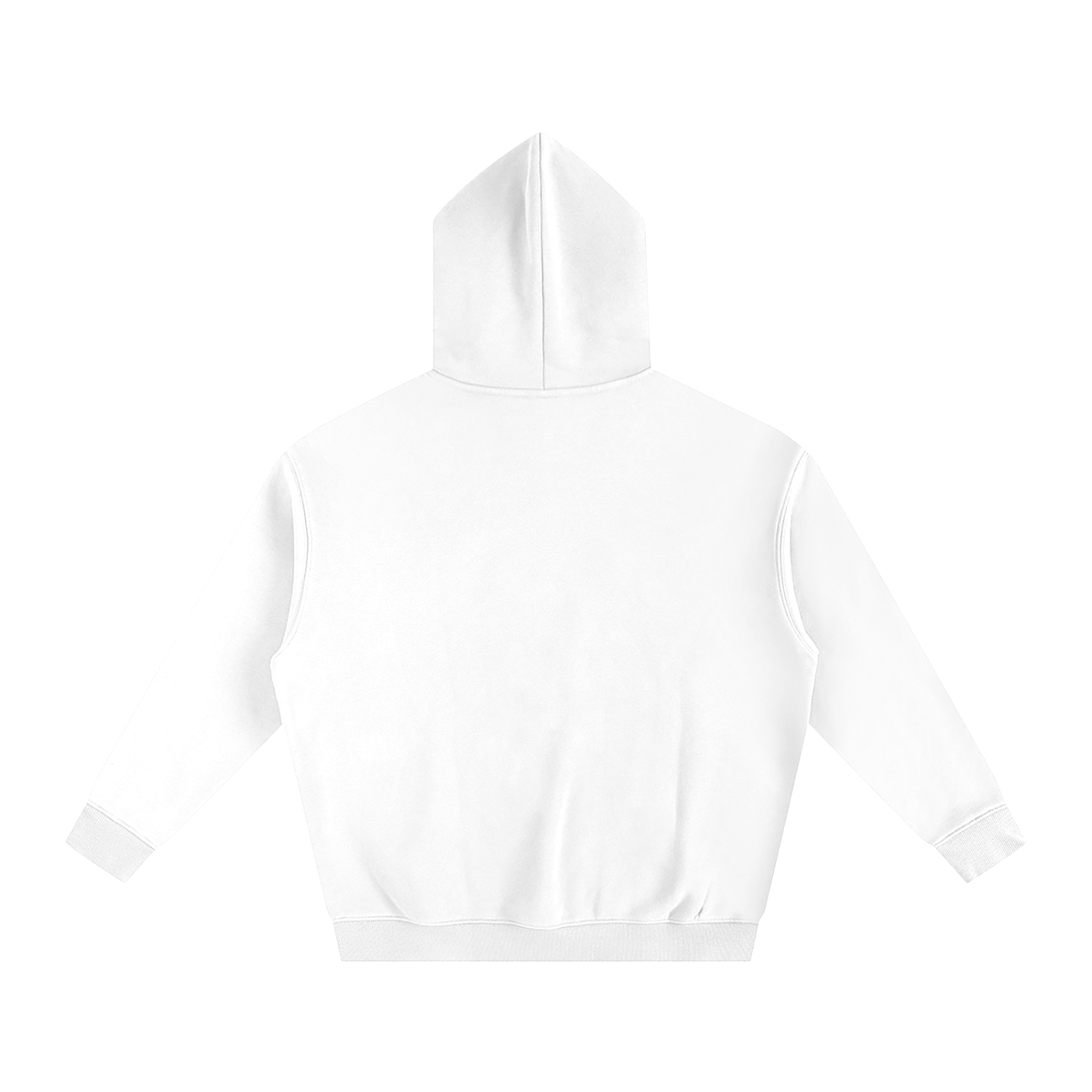College of Charleston Hoodie