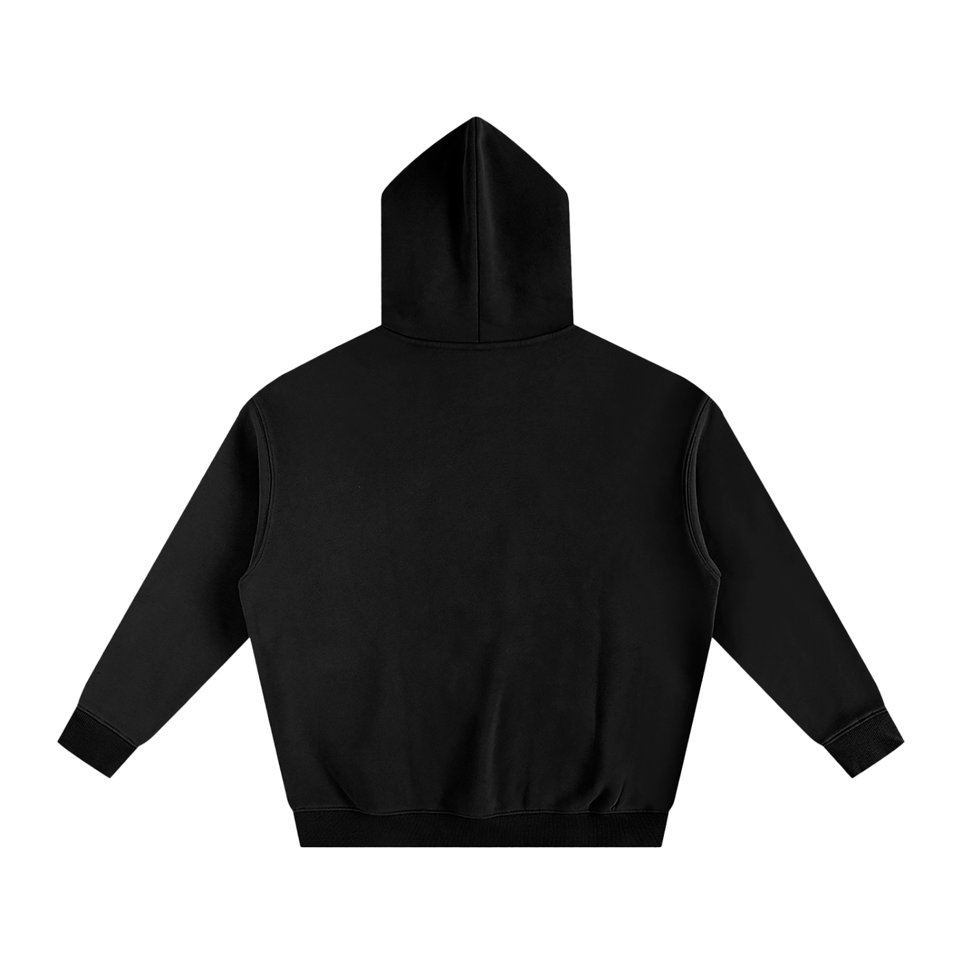 College of Charleston Hoodie